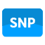 SNP plans icon